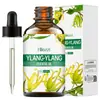 Hllozzi Venta Caliente Transfronteriza 60ml Perfume Vegetal de Lavanda Fragancia Única Fragancia Duradera Aceite Esencial Vegetal