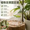 Poste de soporte para plantas, soporte para flores, estante para agrupar ramas, soporte anti-caída para plantas, herramienta de fijación para plantas de interior, soporte para flores