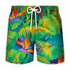 Pantalones de playa deportivos de ocio para hombre, venta al por mayor, impresión digital 3D, para vacaciones de verano en la playa, 2023