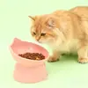 Comedero para Gatos con Patas Altas para Proteger la Columna Cervical, Gran Capacidad, Boca Inclinada, Utensilio de Alimentación para Gatos y Perros, Protección del Cuello, Tazón de Plástico Antiderrames