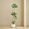 Plantas Verdes Artificiais, Árvore de Borracha Preta de Luxo de Alta Qualidade, Figueira Lira, Árvore Decorativa Artificial de Chão de Alta Qualidade para Sala de Estar Interna