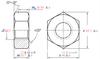 Suministros del Fabricante Tuercas Hexagonales de Acero Inoxidable 304 Din934 Tapas de Tornillo M1.6-M64 Rosca Antiaflojante