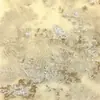 Tecido Bordado com Lantejoulas para Vestidos Femininos, Tecido de Alta Elasticidade com Padrões Florais, Tecido com Bordado de Lantejoulas