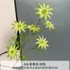 Layout de Cena de Flor de Simulação Crisântemo Margarida Mai Xiang Mona Garden Mori Casamento Casamento Flor Falsa Arranjo de Flores de Estrada