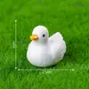 Terrario de musgo, diseño creativo y adorable para alimentar pájaros, paisajismo de jardinería, accesorios decorativos colgantes DIY, adornos en miniatura