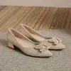Zapatos Nuevos de Tacón Bajo para Mujer Primavera/Otoño 2026, Cómodos para los Pies, Zapatos de Tacón Grueso de una Sola Pieza, Combinan con Faldas, Zapatos de Boda, Zapatos de Dama de Honor, Adecuados para el Uso Diario