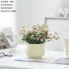Planta Trepadeira Colorida Verde para Escritório, Flores de Mesa Internas em Vasos, Fácil de Cuidar, Resistente ao Calor e ao Frio