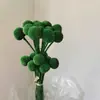 Flores Verdes Eternas, Atmosfera de Primavera, Buquês para Loja, Decoração de Roupas Femininas, Materiais Florais de Galhos Secos, Cena de Arranjo Floral para Recepção