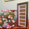 Portafotos Minimalista Hueco de Seis Marcos Soporte de Exhibición Adhesivo Decorativo de Pintura China Decoración Estilo de Marco Vertical Hecho a Mano