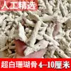 Material Filtrante de Hueso de Coral Natural Caja de Filtro para Acuario y Acuicultura Tanque para Mariscos Estanque de Peces Dedicado para Cultivo de Bacterias Arena de Coral Ajuste de pH