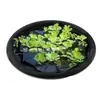 Red de protección para plantas de estanque, barrera multifuncional para flores y peces en la superficie del agua, pequeña isla flotante, protector flotante para plantas