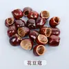 Casca de Fruta Indonésia Fruta Preta Materiais DIY Sino dos Ventos Feito à Mão Sacola de Chocalho Pingente Pacote de Material DIY Feito à Mão Atividades de Team Building para Salão