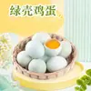 Huevos de cáscara verde de Henan Nanyang, disponibles para dropshipping en cantidades de 10/20/30 piezas. Estos son huevos frescos y de temporada de aves de corral criadas con una dieta a base de granos