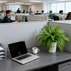18 Cabezas de Helecho Persa para Accesorios de Boda al Aire Libre en Boston, Decoración y Paisajismo Venta al por Mayor de Plantas Verdes Artificiales