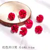 Pacote de Material de Flores Secas Espécime Jardim de Infância Casca de Fruta Caseira Flor Seca Bolota Porta-Retrato Espécime Pinha Porta-Retrato DIY Feito à Mão