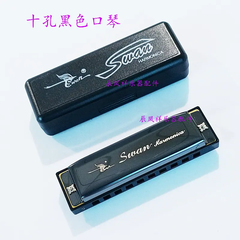 10孔黑色5