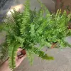 Helecho de Boston Planta en Maceta, Planta Verde en Maceta Grande Colgante, Fácil de Mantener en Interiores, Perenne Todo el Año, Helecho de Boston Dorado, Helecho Rey