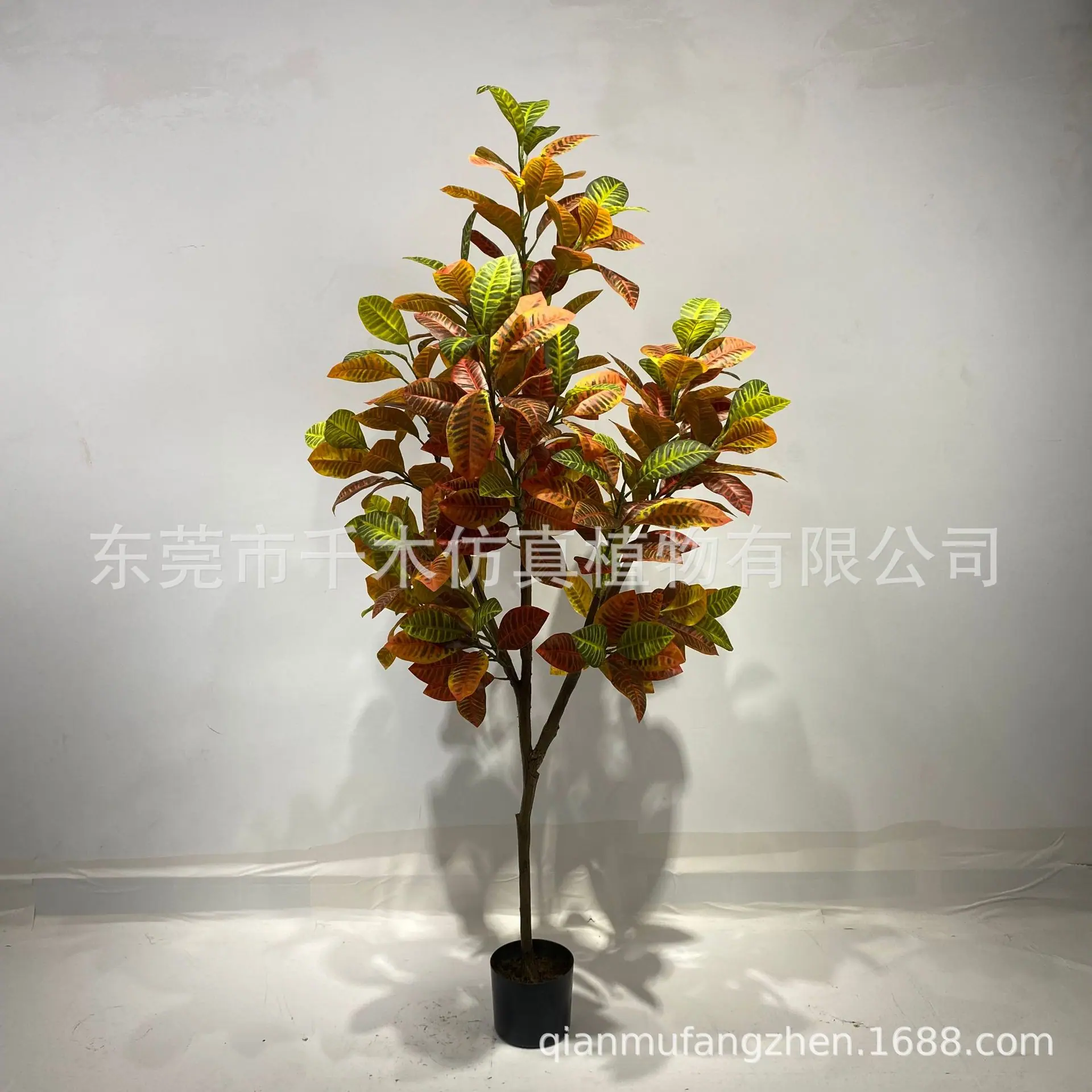微信图片_202207061337165