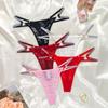 Tangas de Encaje para Mujer de Comercio Exterior Sexy Patrón de Malla Bordado Metal Tira Fina Ropa Interior de Cintura Baja para Mujer Nuevo Listo para Enviar