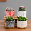 Dongheng Maceta de Animales Estilo Japonés y Coreano Maceta Mini Pulgar Adornos Set de Búho Cambio de Horno Maceta para Suculentas con Base
