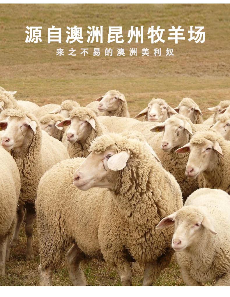 58成分_05