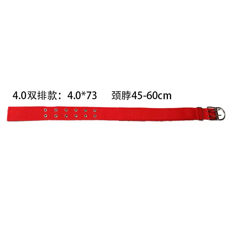 尺寸
