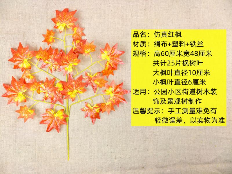 详情2.jpg