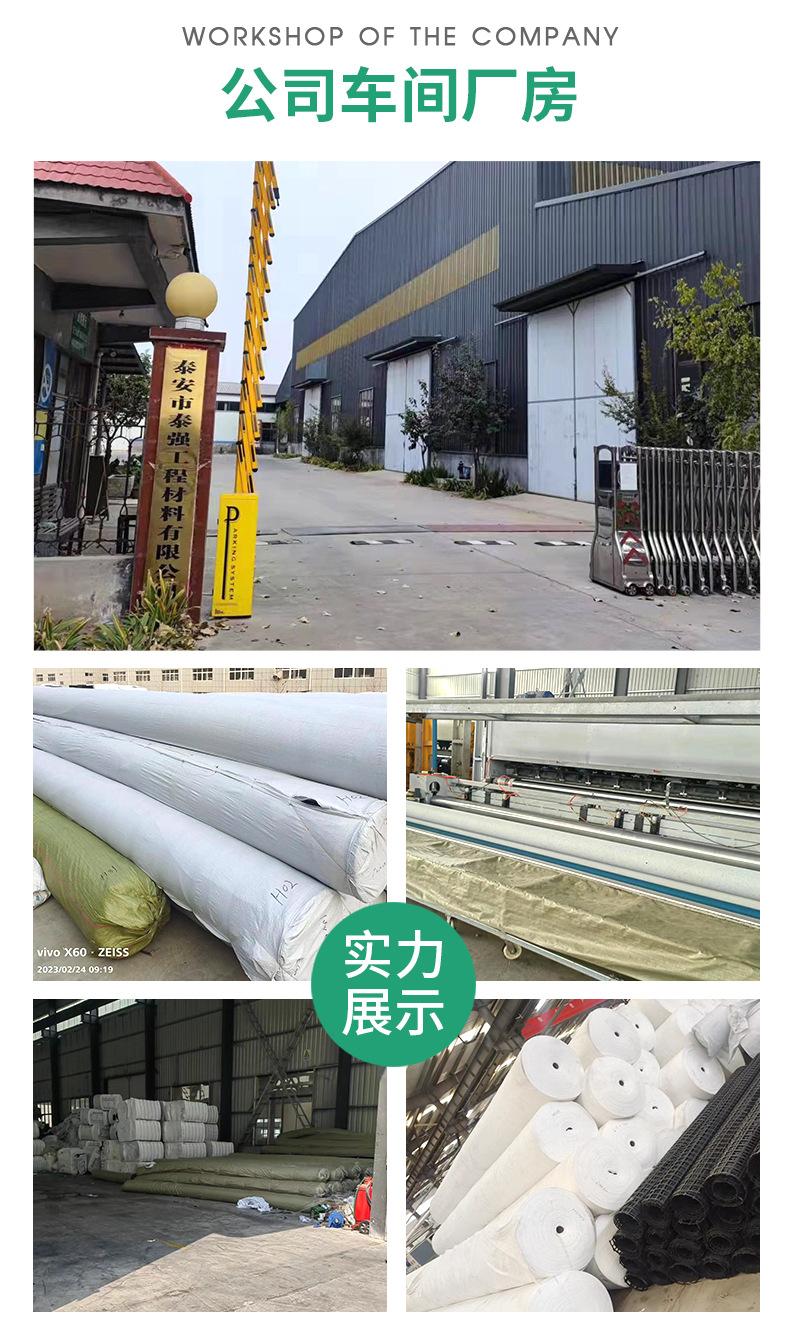 复合土工膜_08.jpg