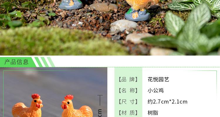 公鸡1688详情_02