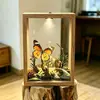 Porta-Retrato Acrílico Transparente Oco Dupla Face com 4cm de Profundidade, com Fenda e Design Deslizante, Caixa para Espécimes 3D Micro-Paisagem, Ornamento DIY