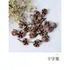 Flores Secas, Palitos de Canela, Rodajas de Limón, Flores Secas, Piñas Secadas al Aire, Flores Secas Mixtas, Ramo Fresco, Aromaterapia Bricolaje, Planta Leide