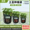 Bolsas de Plantación de Patatas para Jardines de Balcón, Adecuadas para Cultivar Patatas, Tomates y Verduras, Disponibles en Varios Tamaños de Galón