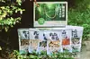 Combinação de cogumelos de Yunnan grande sacola de presente especialidades produtos secos saco para sopa de cogumelos sopa combinação colorida de cogumelos distribuição ao vivo