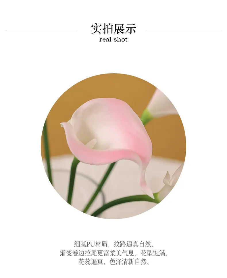 8头迷你马蹄莲_05.jpg