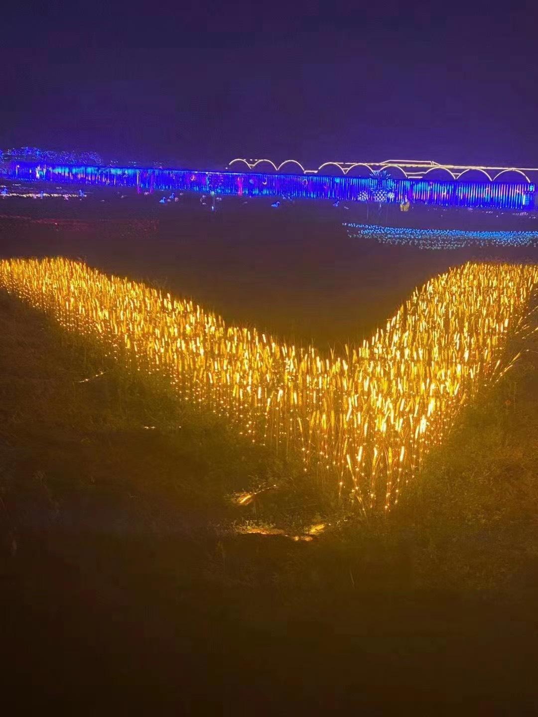 205d489c0428589011dec8335c411b