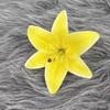 Flores de Lírio de Filme Impressas em 3D Flores Artificiais Altamente Realistas Confecção de Adereços de Cabeça para Casamento Guirlandas Arranjo de Flores Decoração Arco Atacado