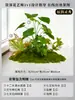 Musgo para Paisajismo de Plantas Verdes Plantas Artificiales Decoración Flores Artificiales Combinación Tropical para Interiores Paisaje de Ventana Persa Arreglo de Césped