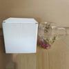 Taza Creativa Transfronteriza de Vidrio de Borosilicato Alto con Flores Secas Nueva Simple Aislada de Doble Capa para el Hogar Taza de Alto Valor Venta al por Mayor