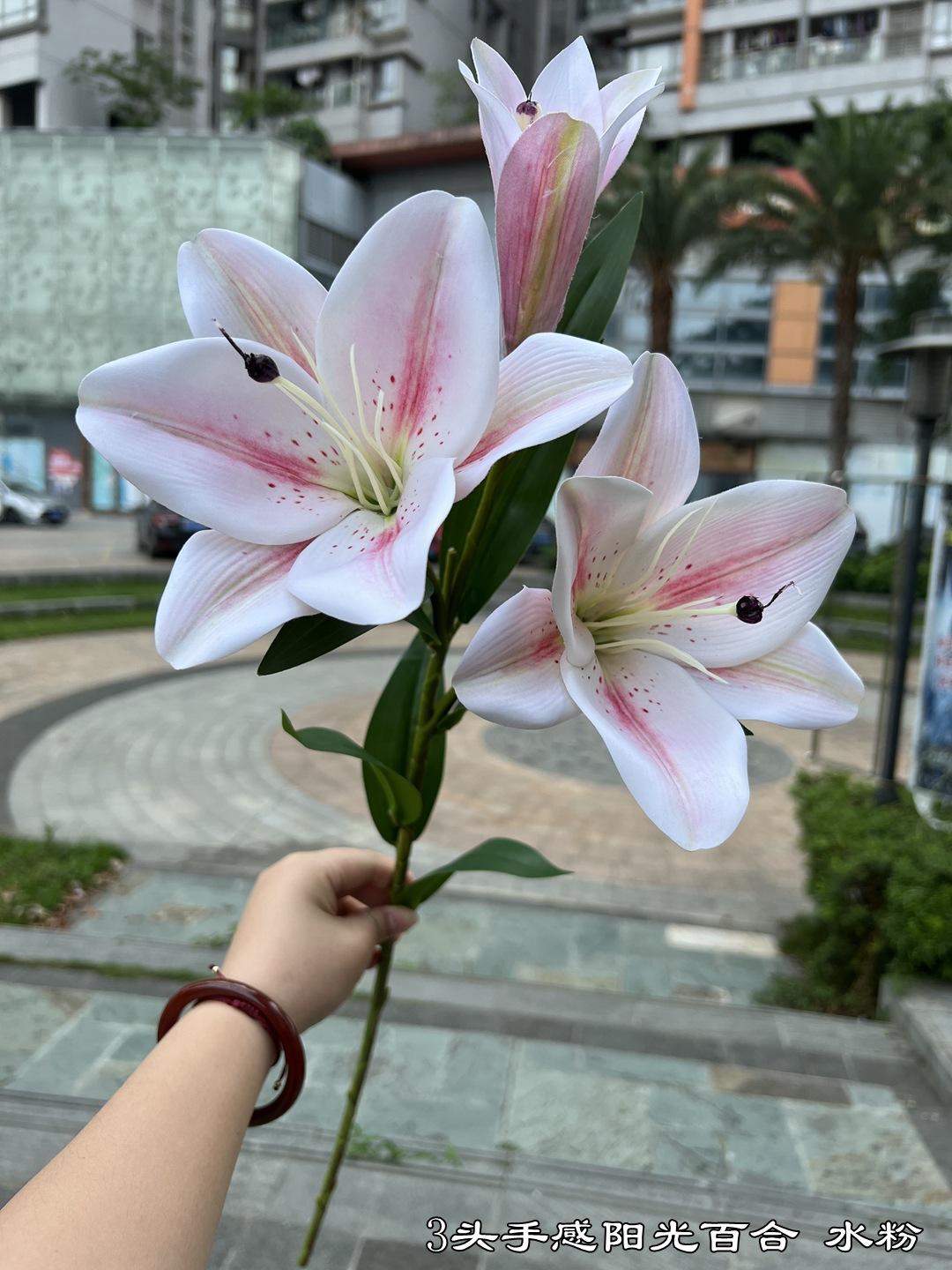 微信图片_20220605142959.jpg