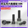 Tornillos de acero al carbono de alta resistencia grado 14.9 con cabeza de copa y hexágono interior HM tornillos de cabeza cilíndrica ennegrecidos m6m10m12m14m16