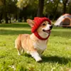 Sombrero a prueba de viento, popular, cálido, de gran venta para otoño e invierno, accesorio para la cabeza de Bulldog Francés, sombrero de perro tejido de nuevo estilo transfronterizo para mascotas para Halloween