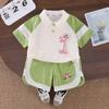 Traje de Verano para Niñas con Solapa de Dibujos Animados de Manga Corta 2025 Nuevo Estilo Moda Infantil para Bebés Delgada Casual Conjunto de Dos Piezas a la Moda