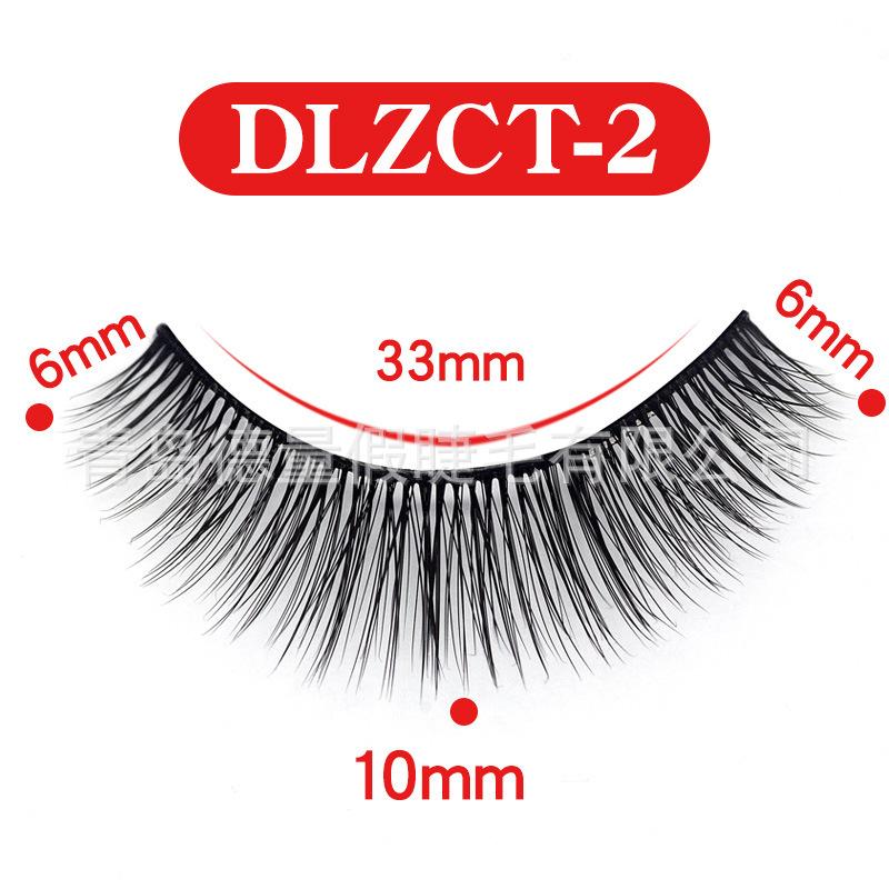 DLZCT-2.jpg