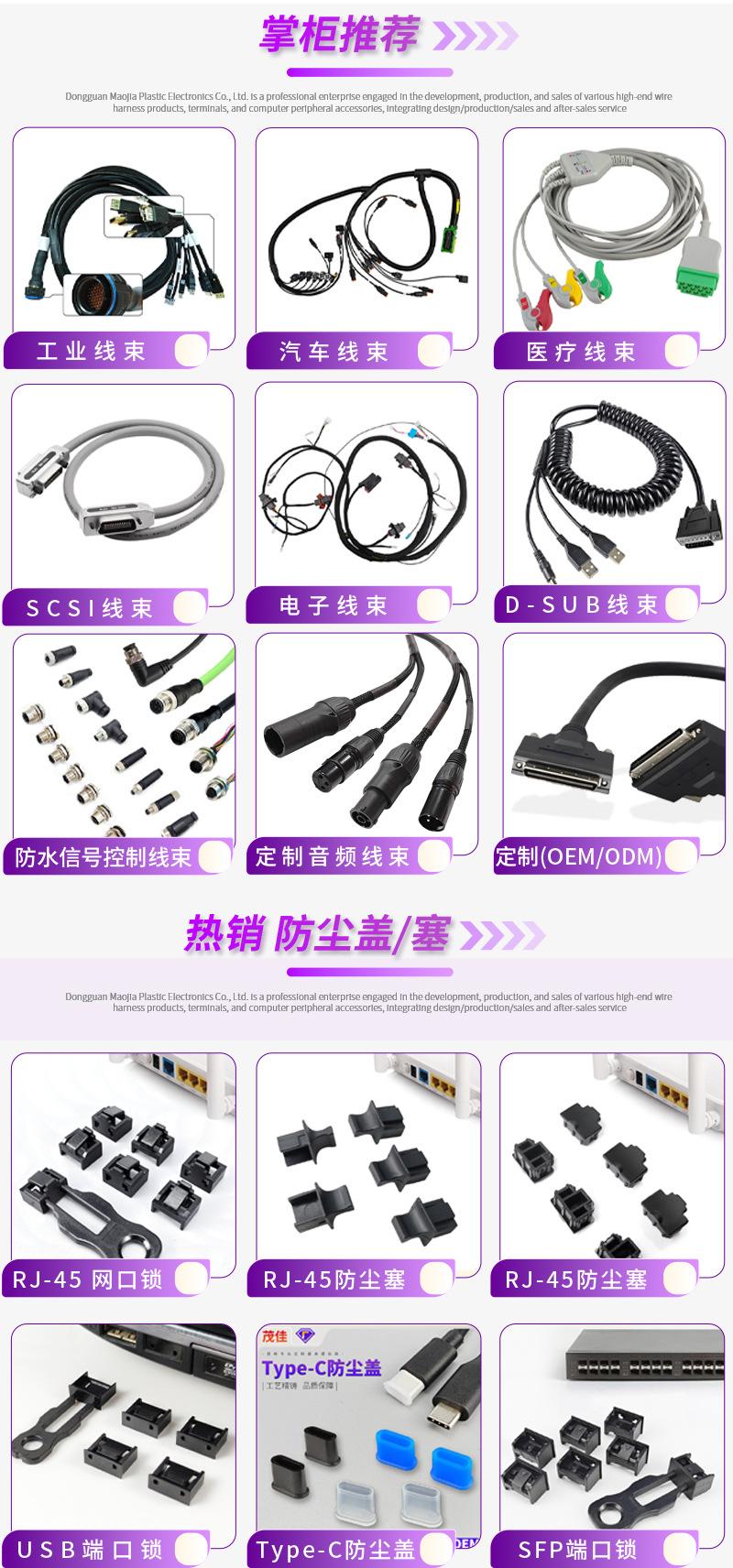 公司详情（中英双版）_01