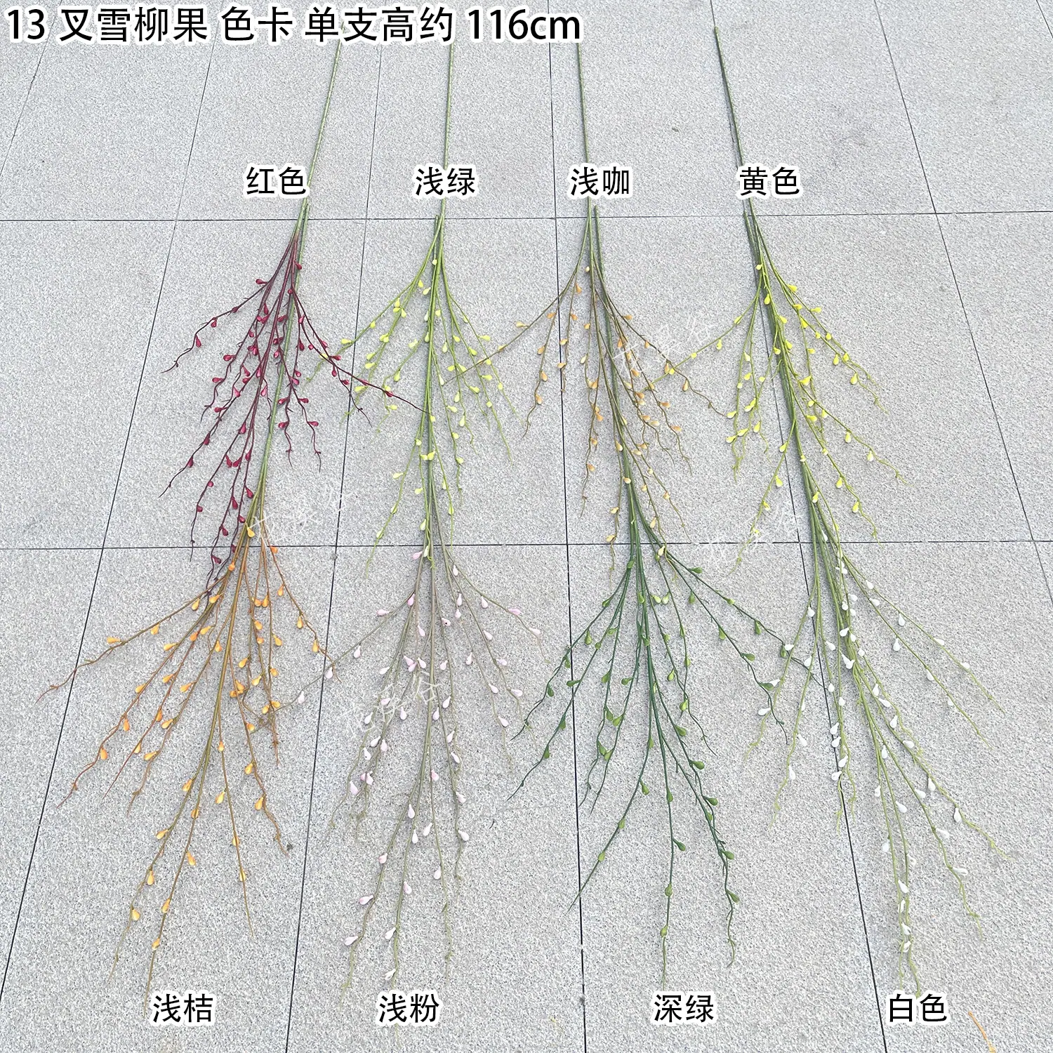 13叉雪柳果 色卡 花溪谷.jpg