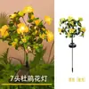 Luzes Solares de Dente-de-Leão à Prova d'Água para Exterior, Iluminação Pública Montada no Solo, Luzes de Ambiente, Luzes de Bola Redonda, Luzes de Paisagem Céu Estrelado