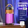 Lámpara antimosquitos eléctrica silenciosa para exteriores, recargable, para uso doméstico y con inhalación de descargas eléctricas.
