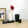 Florero cerámico moderno simple fresco de fábrica con rosca esmerilada soporte para flores hidropónicas decoración del hogar