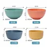 Artículos de Primera Necesidad de Venta Caliente Transfronteriza: Juego de Tazones de Paja de Trigo y Plástico para Arroz, Sopa, Fideos Instantáneos, Verduras, Anticaídas, Estilo Ins