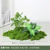 Plantas Verdes Simuladas Musgo Plantas de Paisajismo Interior Paisaje Pequeño Combinación Adornos de Musgo Verde Debajo de las Escaleras Arreglo de Flores Artificiales Biónicas